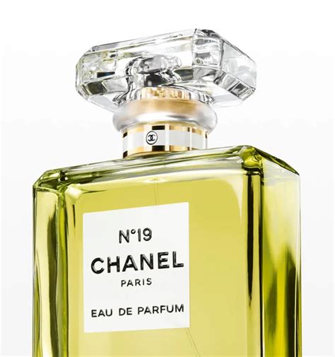 bois de jasmin chanel 19|Chanel No 19 : Perfume Review .